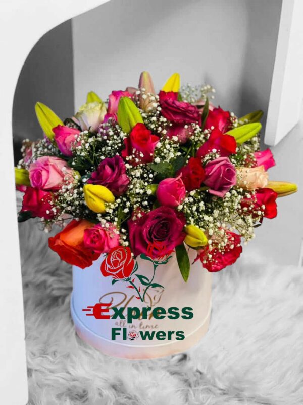 Vibrant mixed rose