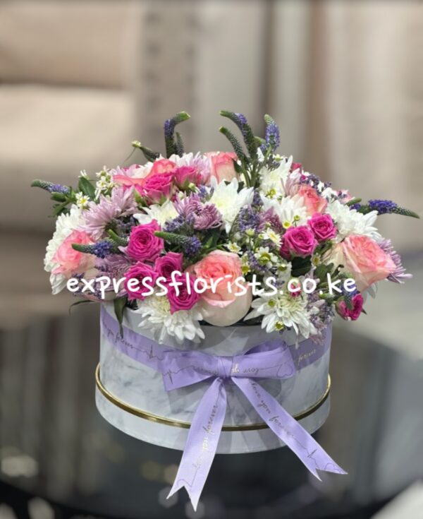 Pastel harmony box